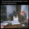 Nowa wersja "Znachora"