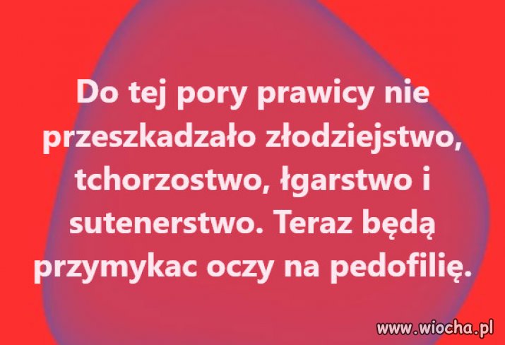 Jak wiadomo katole wyspowiadaja sie i niewinni...
