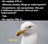 Typowa sytuacja