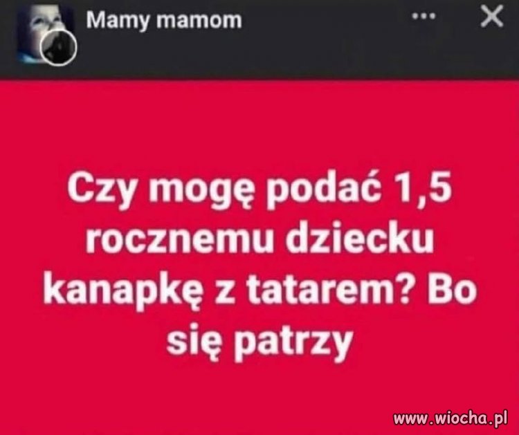 Co się gapisz?