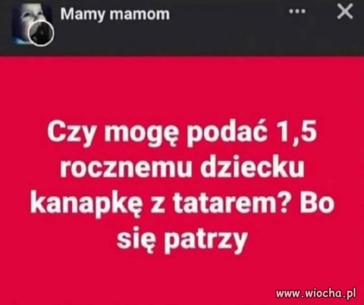 Co się gapisz?