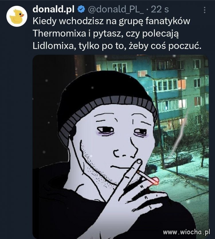 Lidlo czy Thermo?