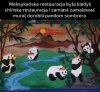 Restauracyjne absurdalne połączenie