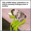 Nowe włosy, stare problemy - jak to w życiu