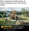 ...szach -mat , kuku kolor i makao...