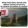 Kiedy twój dobry ziomek pies
