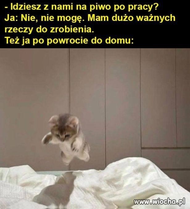 Nie mogę, jestem już spóźniony