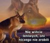 Każdemu się czasem nie chce