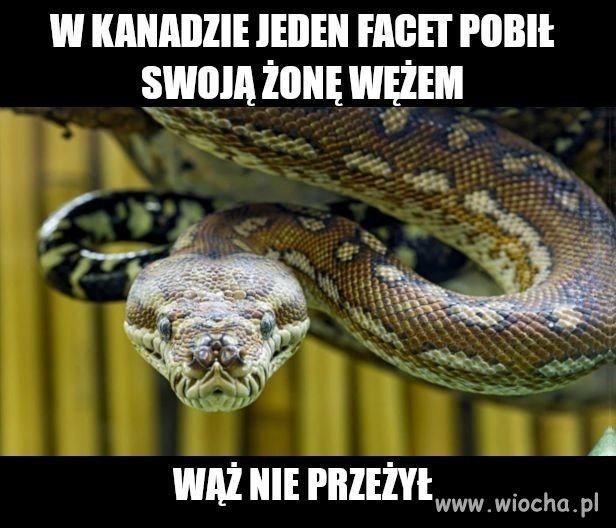 Silna, niezależna kobieta