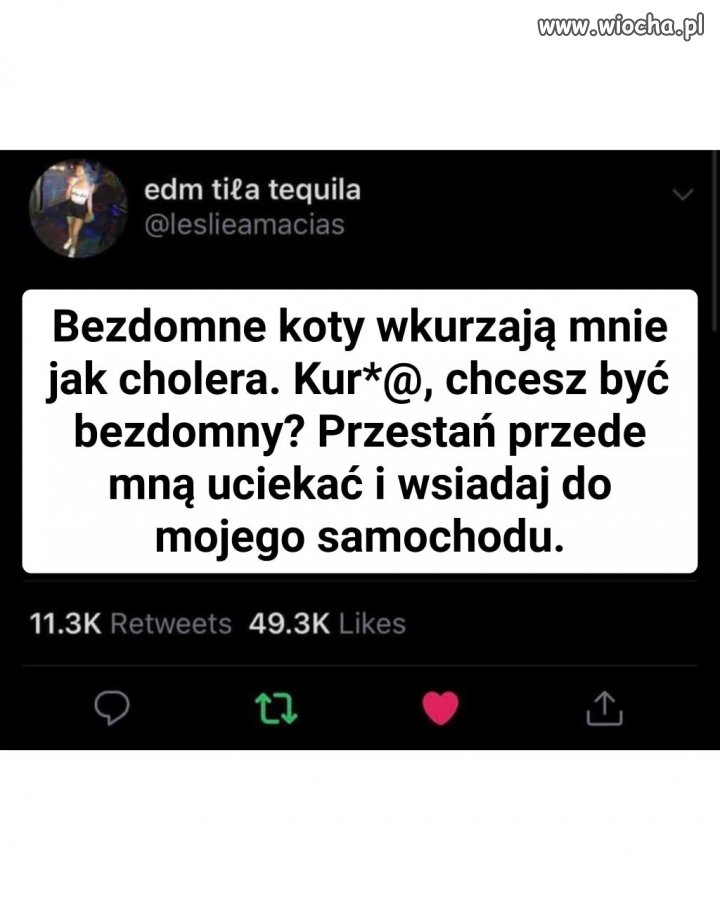 Ja do nich z sercem na dłoni