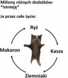 Krąg życia