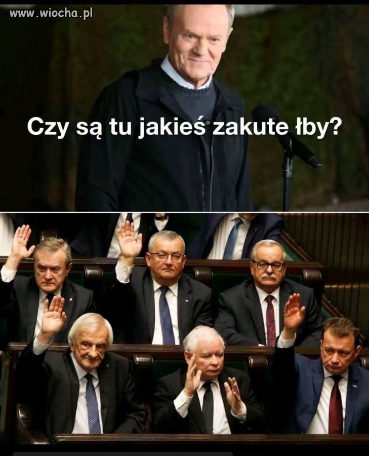Przeciwnicy uzbrojenia Polskiej armii przez