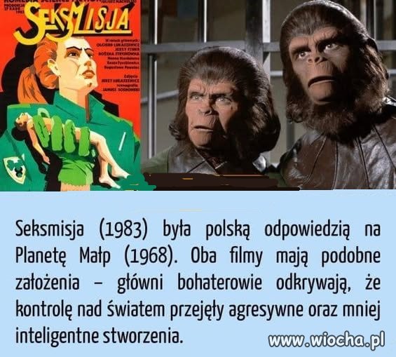 ...jednak do życia potrzebny im frajer