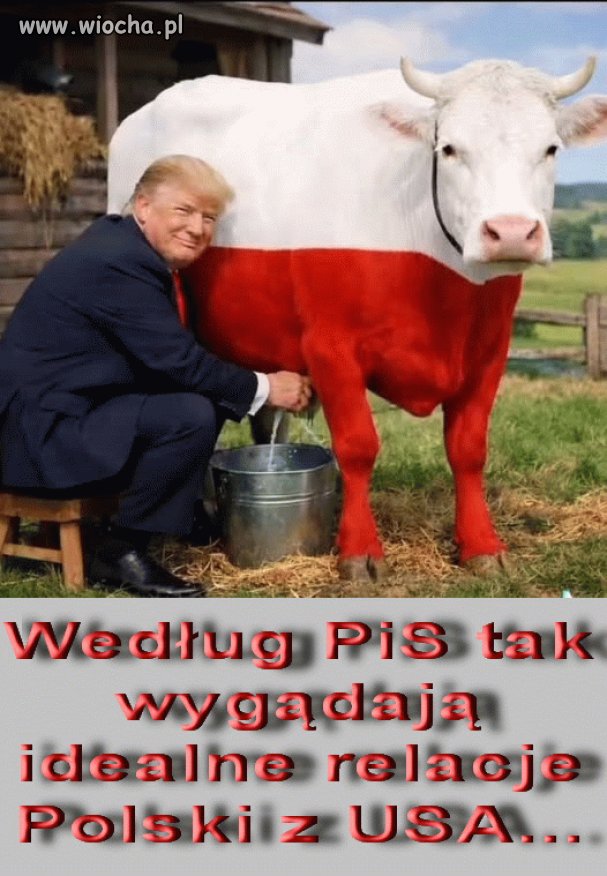 W punkt