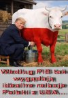 W punkt