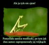 Żart z kategorii przyrodniczej