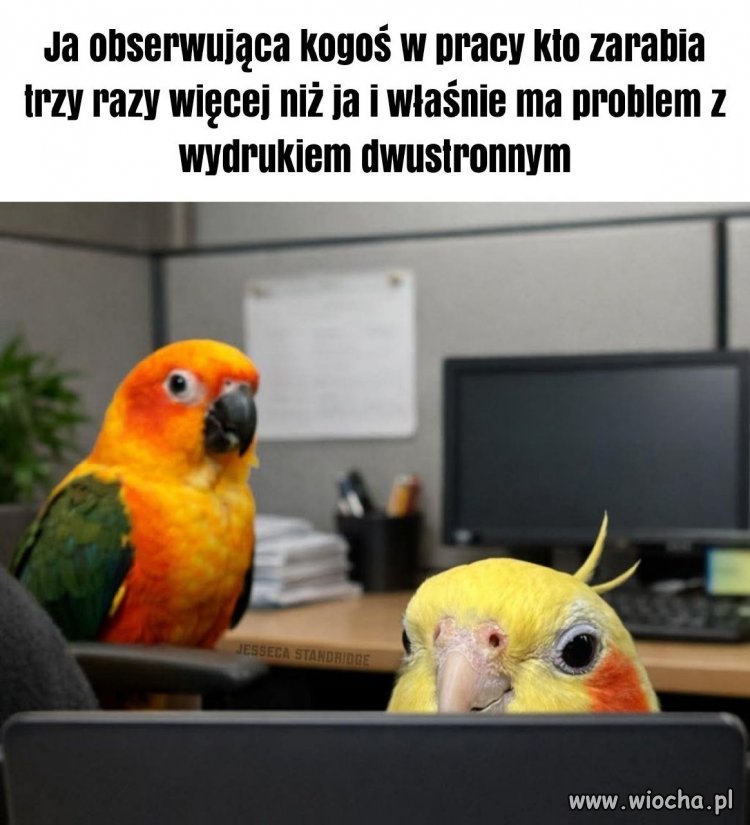 To boli za każdym razem