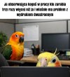 To boli za każdym razem