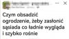 Po co zasłaniać sąsiada, skoro ładnie wygląda?