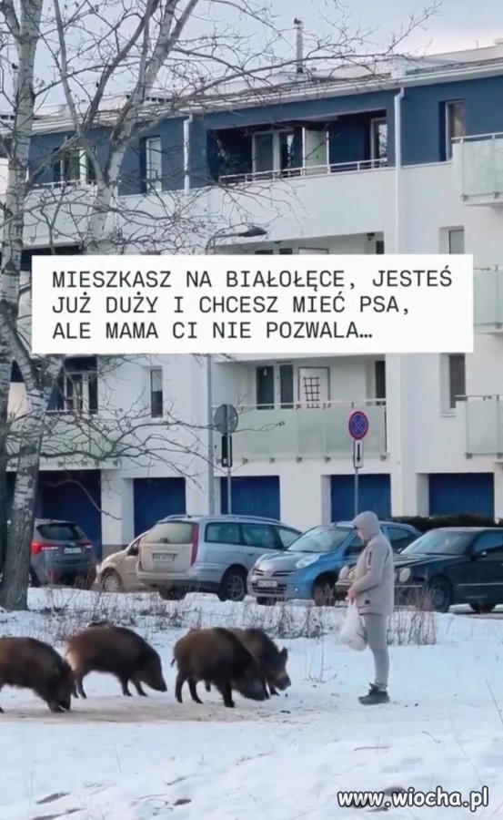 Warszawa, Białołęka...