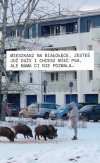 Warszawa, Białołęka...