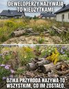 Deweloperzy kontra natura