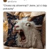 Poduszka cudna