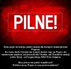 Pewnie PiS mafia by głosowała z kolegami