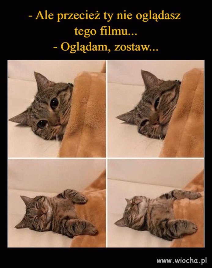 Z życia wzięte
