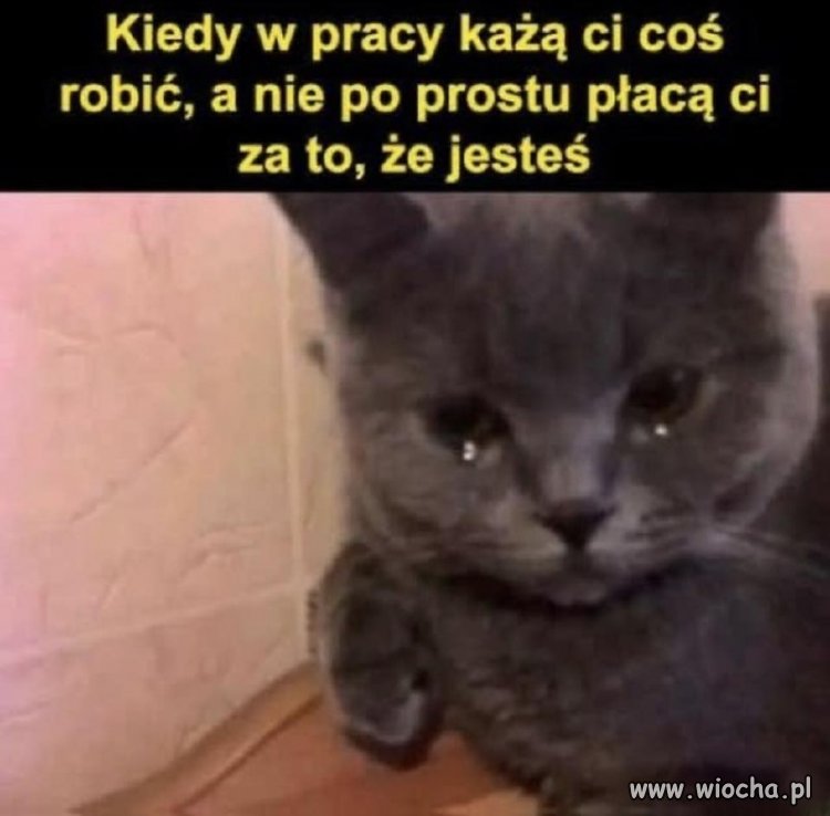 Kiedy praca wymaga pracy