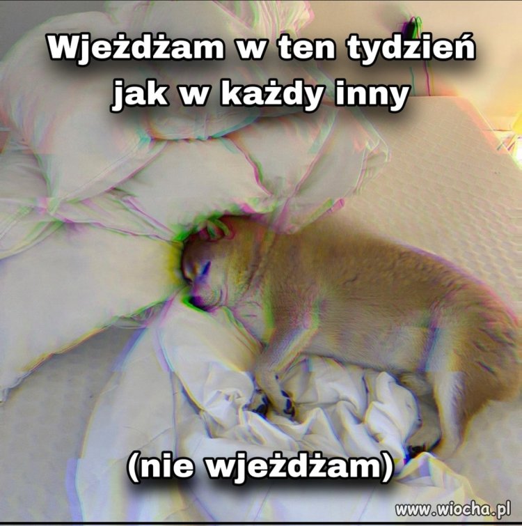 Nie wjeżdżam i tyle