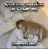 Nie wjeżdżam i tyle