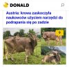 Jest mądrzejsza od niektórych ludzi