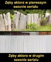 Nie będę kłamać