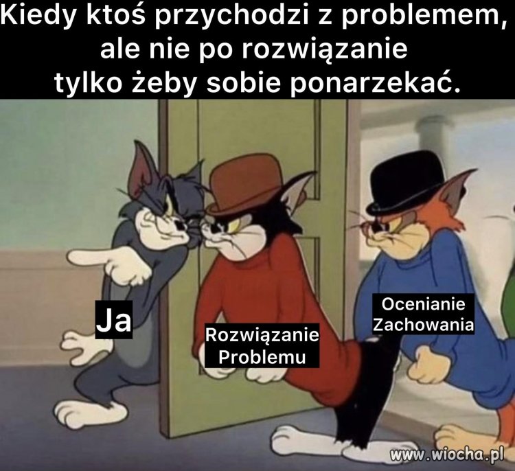 POV: typowy Polak