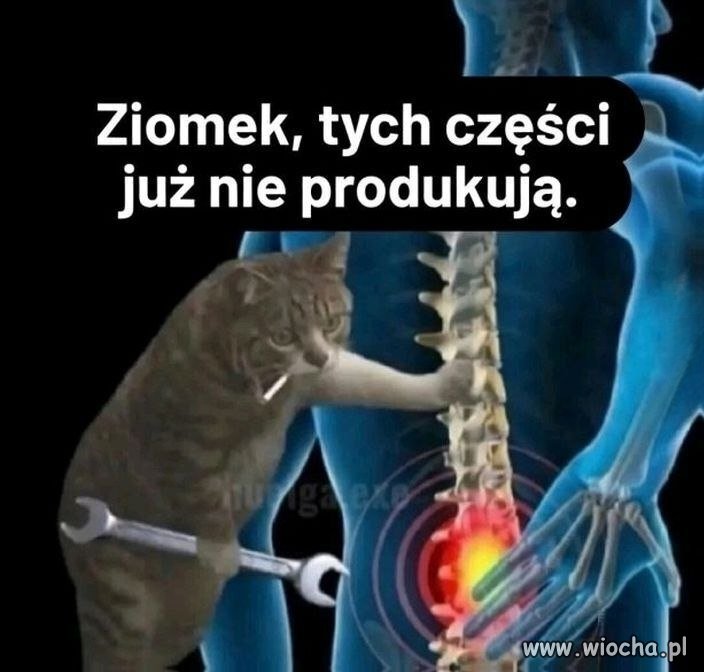 Przestali je produkować jakieś 15 lat temu