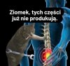 Przestali je produkować jakieś 15 lat temu