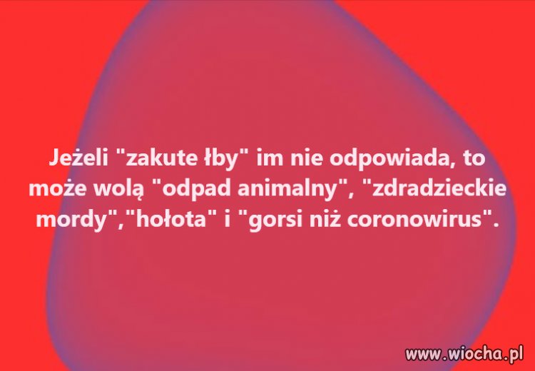 Kanalie jeszcze bylo... Śmiecie - też cytat z Kaczyńskiego