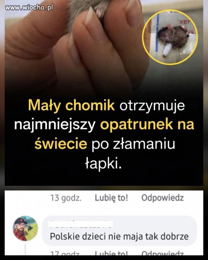 Złamana łapka, wielki dramat