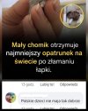 Złamana łapka, wielki dramat