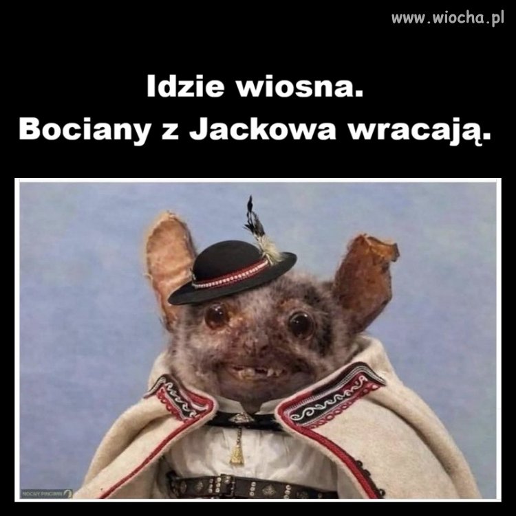 Wiosna nadchodzi
