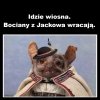 Wiosna nadchodzi