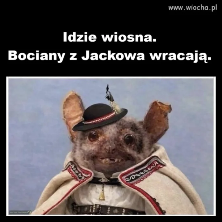 Wiosna nadchodzi