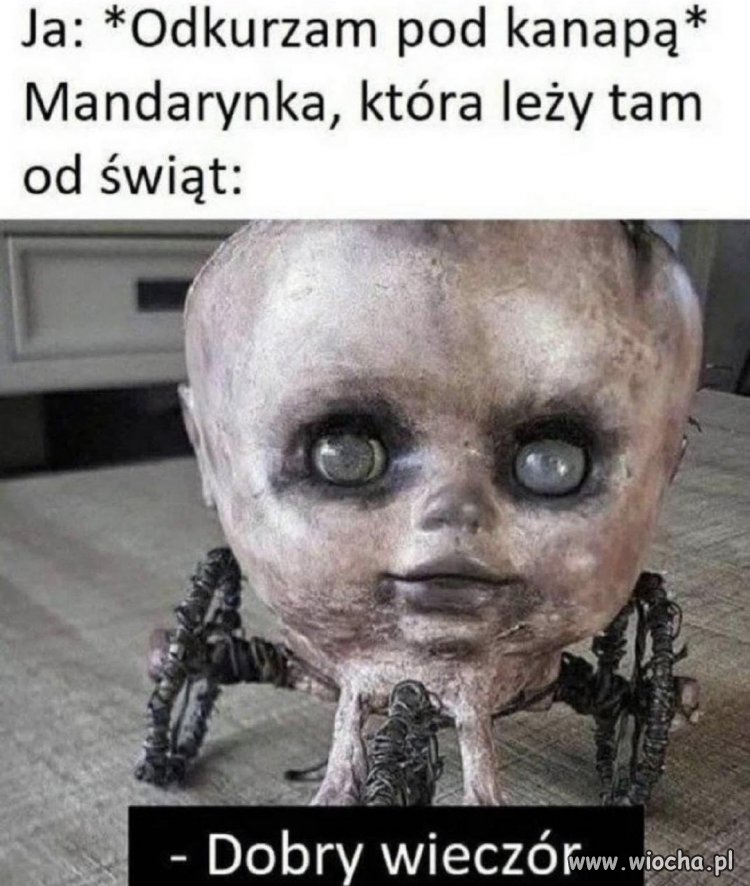 Totalnie, tak wyglądała ta mandarynka