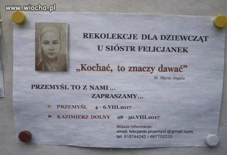 Kochać...