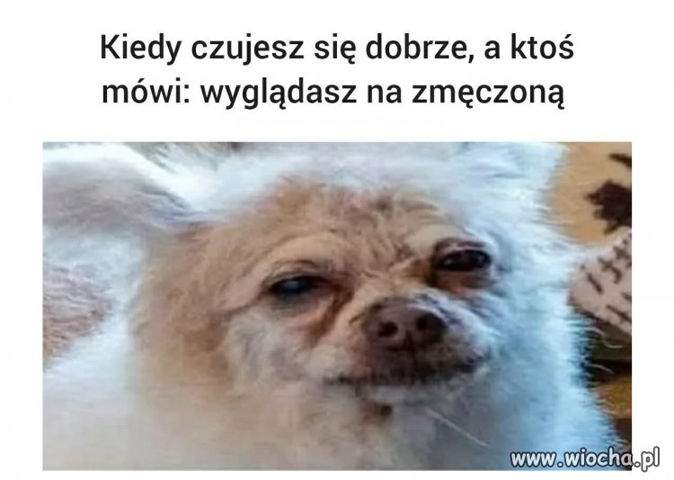 Nie wiem o co chodz