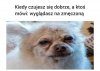Nie wiem o co chodz