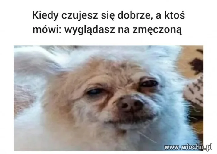 Nie wiem o co chodz