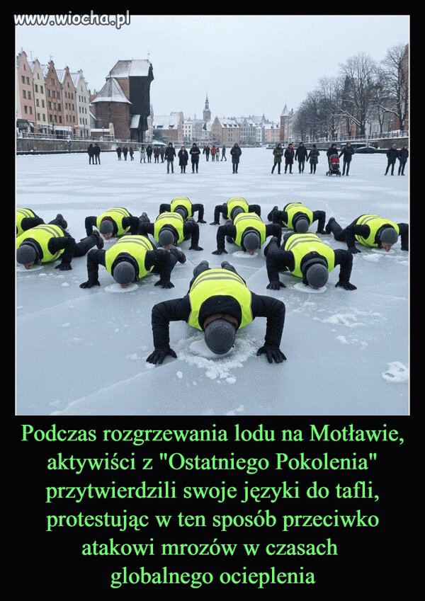 Debile, wszędzie debile