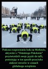Debile, wszędzie debile